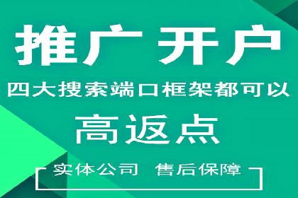 百度推广实战案例分享